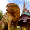 何か用？　（さいたま市 大戸氷川神社）