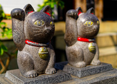 招き猫　（浅草　今戸神社）