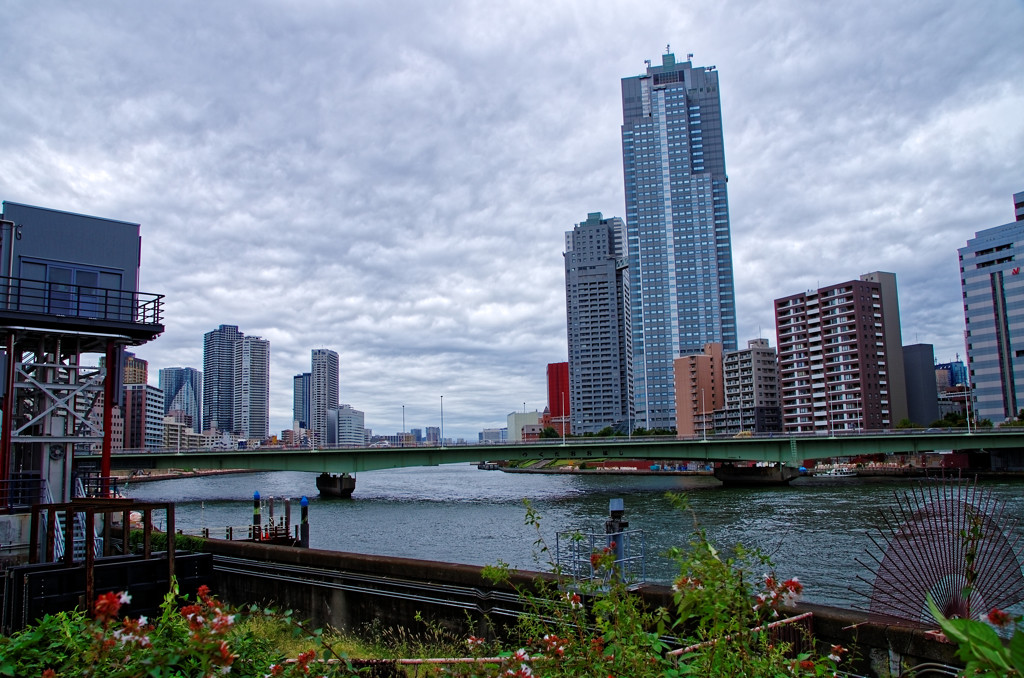 聖路加タワーを望む　佃島にて