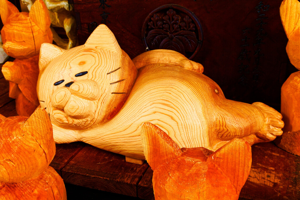 スナップ 猫寺 雲林寺⑧ お昼寝？　(山口県 萩市)