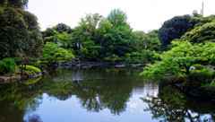 心字池の水鏡　旧古河庭園にて