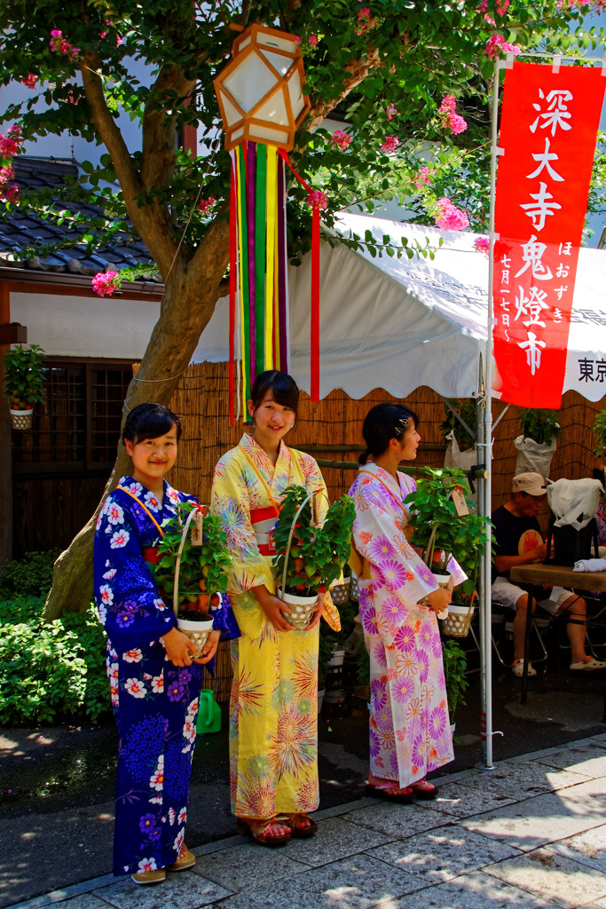 鬼燈（ほおずき）の売り子たち　深大寺鬼燈祭にて