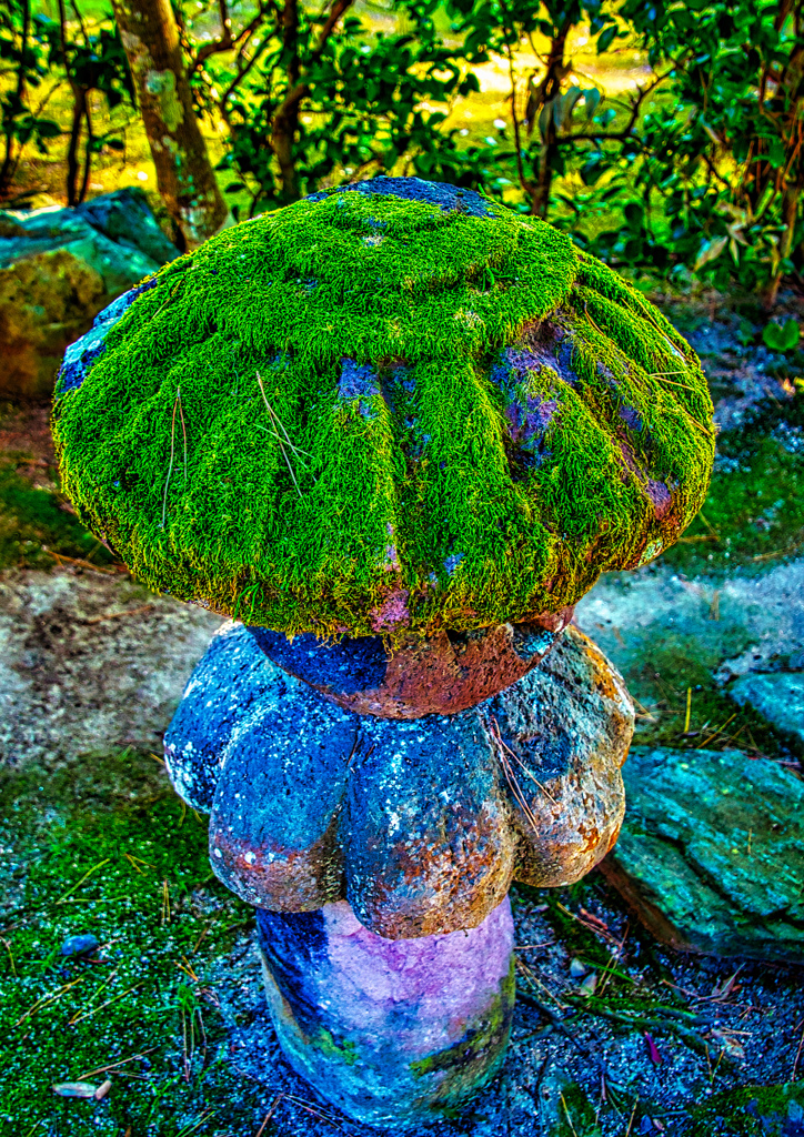 石灯籠の上に自然と苔生える（萩城跡）