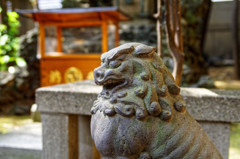都電荒川線大塚周辺　天祖神社の狛犬
