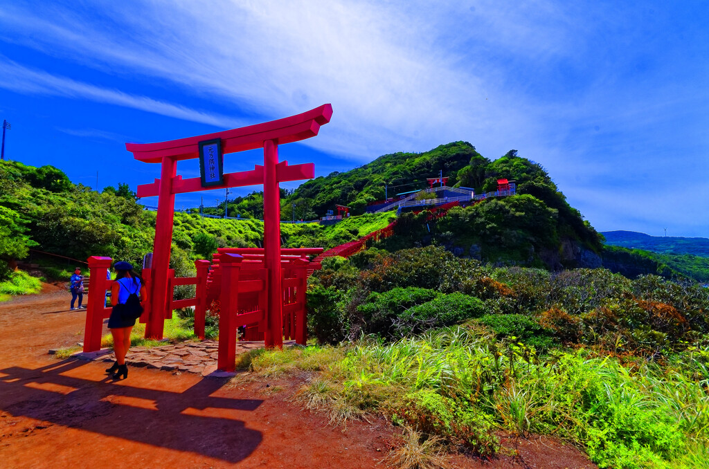 海に向かって123本目の鳥居　(長門市 元乃隅稲成神社 )