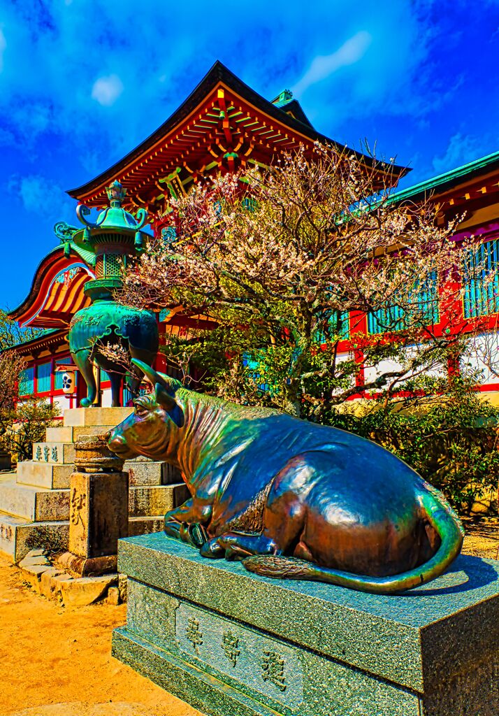 梅花と臥牛像　（防府天満宮 梅まつり）