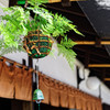 釣りしのぶ風鈴のある風景①　小江戸川越　菓子屋横丁にて