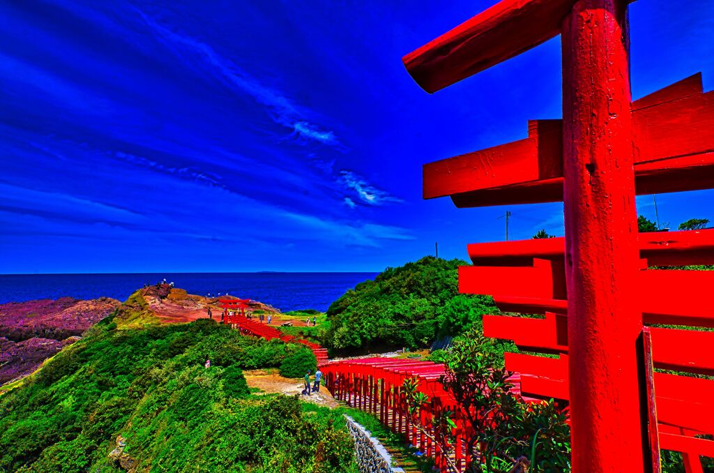 海に向かって朱塗りの鳥居　(山口県 長門市 )