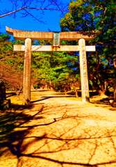 鳥居と樹影が織りなす厳かな情景（萩城跡）