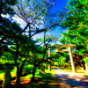 志都岐山神社参道と鳥居（萩市萩城跡）