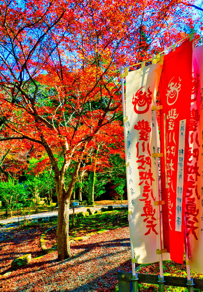 大寧寺の紅葉⑤（山口県長門市）