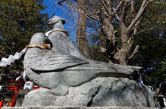 大谷場氷川神社の狛雉