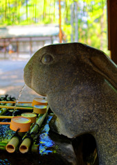 兎の手水舎　（調神社”つきじんじゃ”）