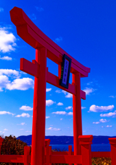 １２３番目 最後の鳥居　(長門市 元乃隅神社)