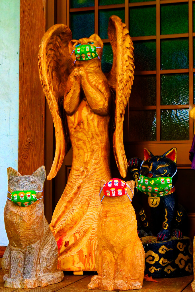 天使になった猫とDevil cat  雲林寺　(山口県 萩市)