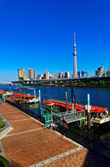 厩橋の袂から紺碧の空バックにスカイツりー　浅草蔵前にて