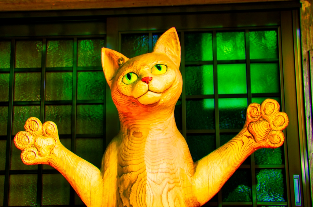 猫寺で有名な雲林寺の猫達④（山口県萩市）