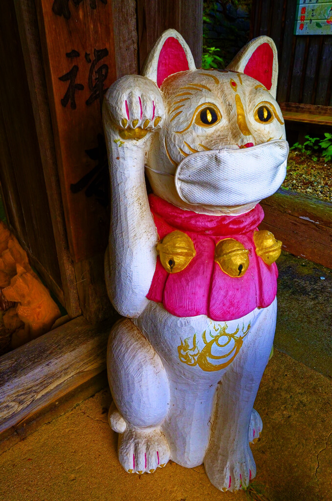 スナップ 猫寺 雲林寺①　(山口県 萩市)