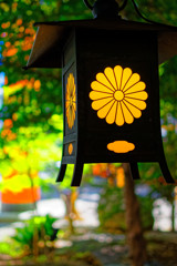 釣灯籠②　（川越氷川神社）