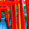大願成就　（文京区根津神社）