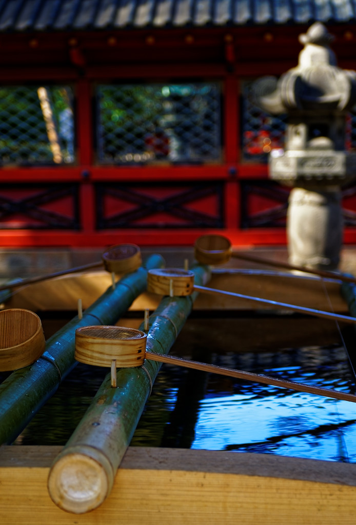 手水舎　根津神社にて