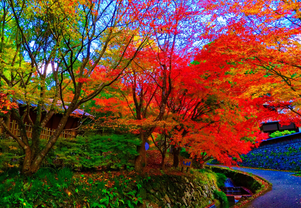 体験処 紙漉きの家と紅葉　(山口市 重源の郷)