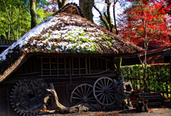 資材置き場の小屋　平林寺にて