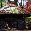 資材置き場の小屋　平林寺にて