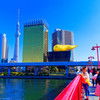 スカイツリーバックにハイチーズ　（浅草 吾妻橋）