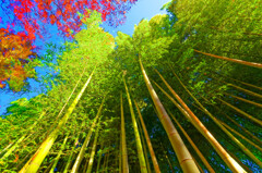 本年中は、大変お世話になりました