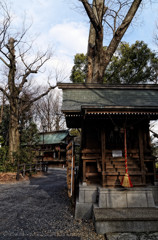 調神社にて
