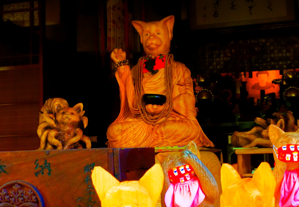 スナップ 猫寺 雲林寺④ 猫和尚　(山口県 萩市)
