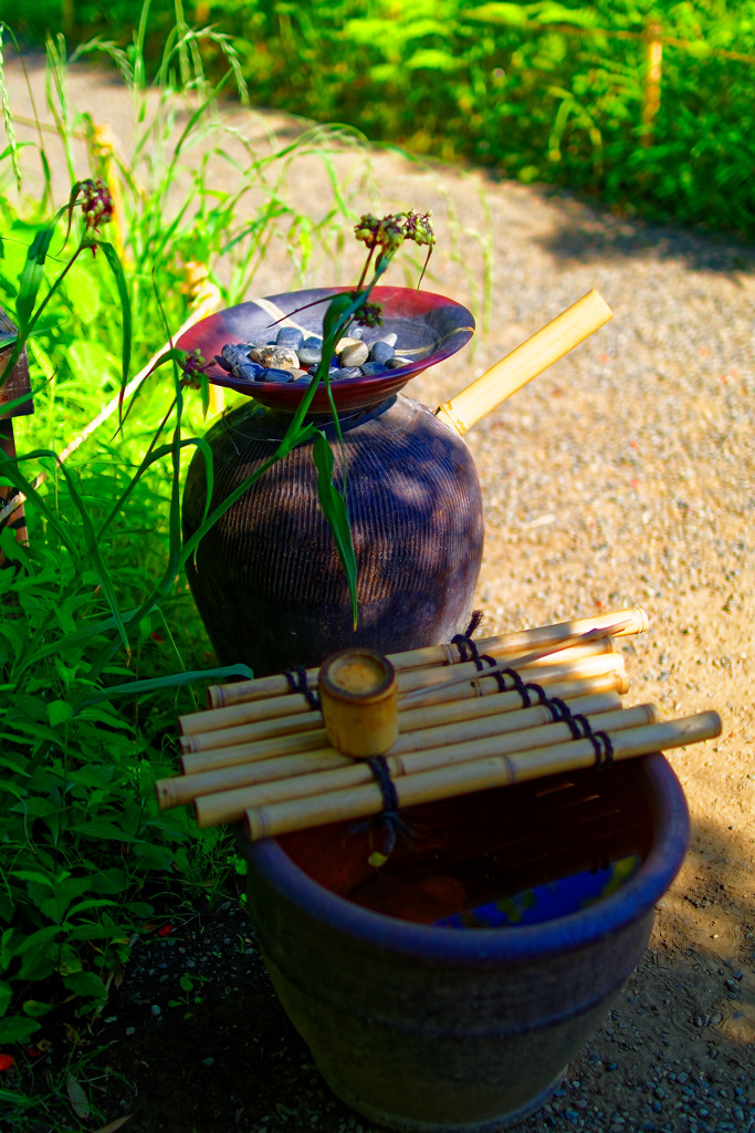 路地琴　（向島百花園）