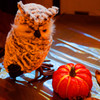 ハロウィン装飾　エリスマン邸④　（横浜山手西洋館）