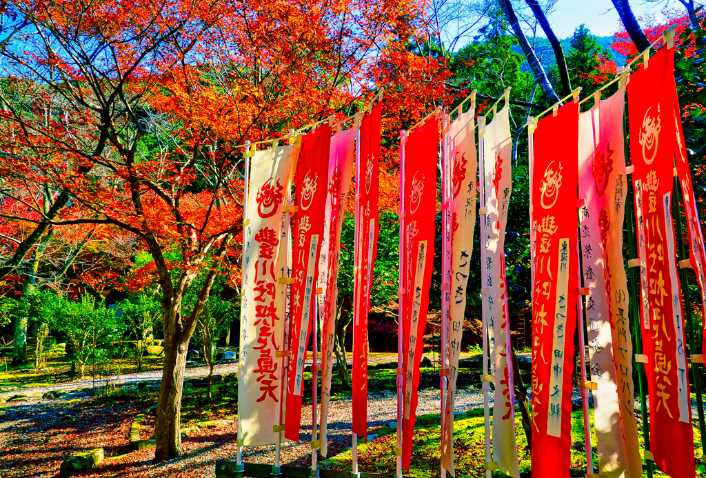 大寧寺の紅葉⑥（山口県長門市）
