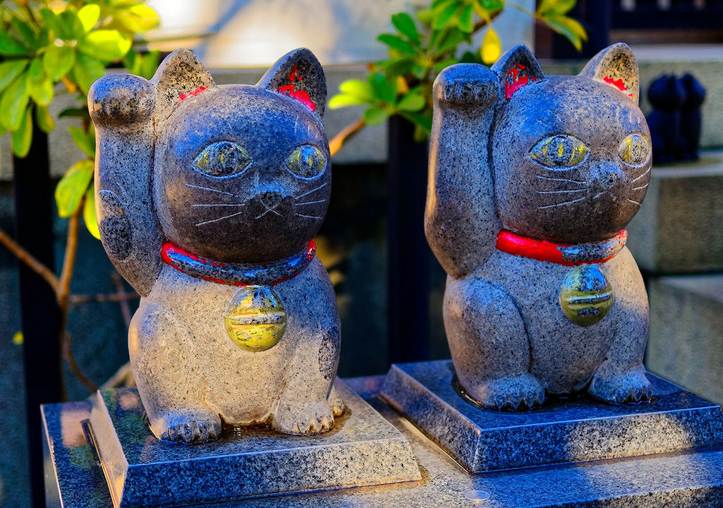 招き猫の発祥の地はどっち？　（浅草 今戸神社）