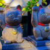 招き猫の発祥の地はどっち？　（浅草 今戸神社）