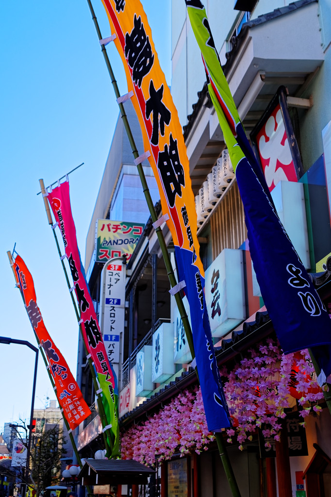 浅草ぶらり　六区通り（２）　浅草演芸場