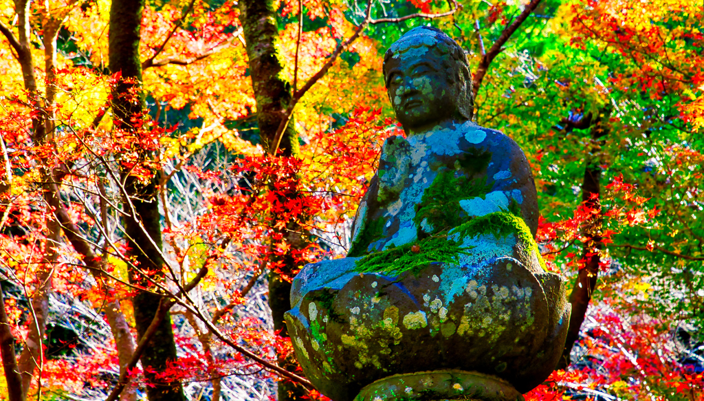 大寧寺の紅葉②（山口県長門市）