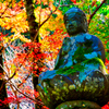 大寧寺の紅葉②（山口県長門市）