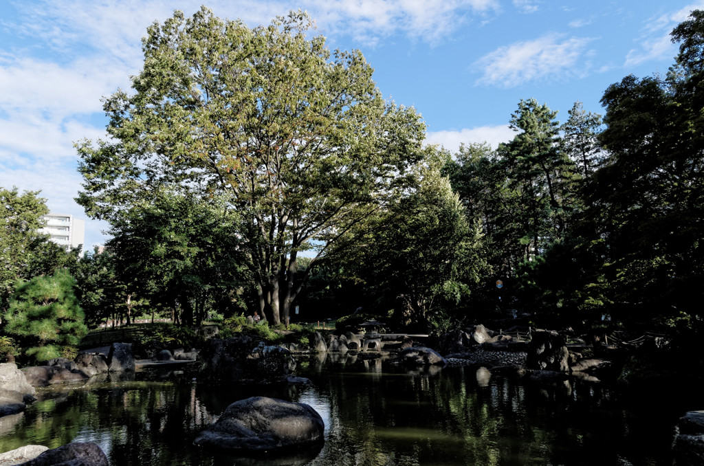 北浦和公園の池の畔