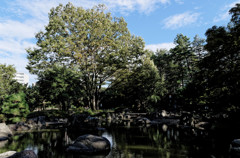 北浦和公園の池の畔