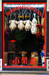 都電荒川線沿線　小閣樓本店（２）