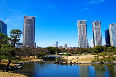 潮入の池と高層ビル群　浜離宮恩賜庭園にて