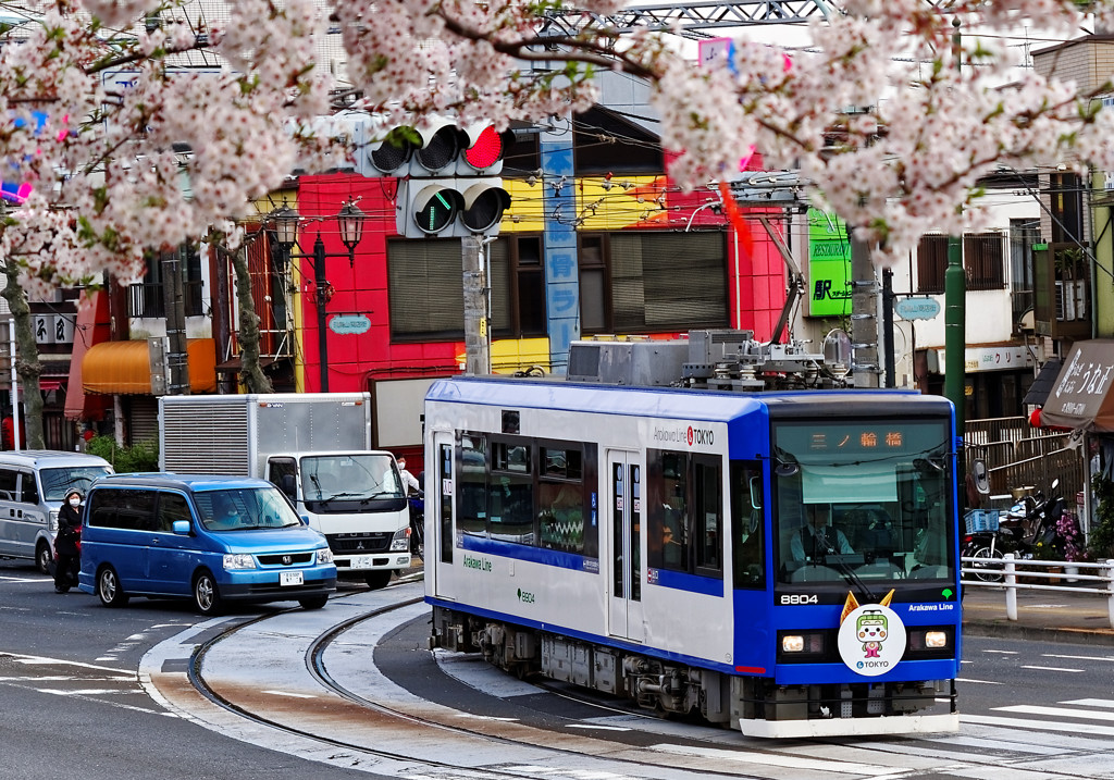 都電飛鳥山駅にて　飛鳥山公園側から桜を前景に都電・・・