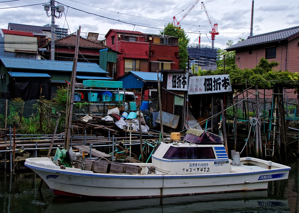  船溜り　佃島にて