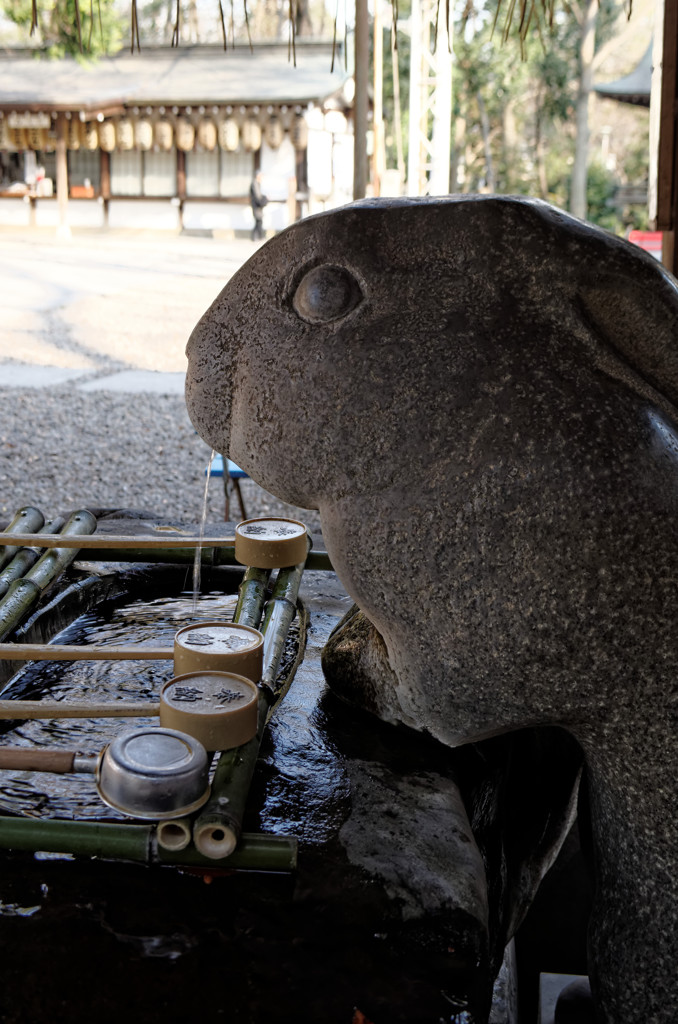 調神社　手水舎