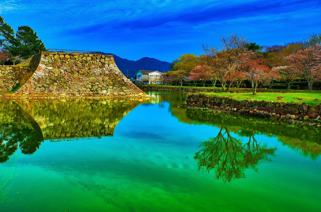 水鏡 萩城お堀　(山口県萩市 萩城跡 )