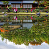 水鏡③　昭和記念公園にて