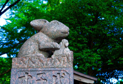 狛兎 狛犬ではありません　（さいたま市 調神社）